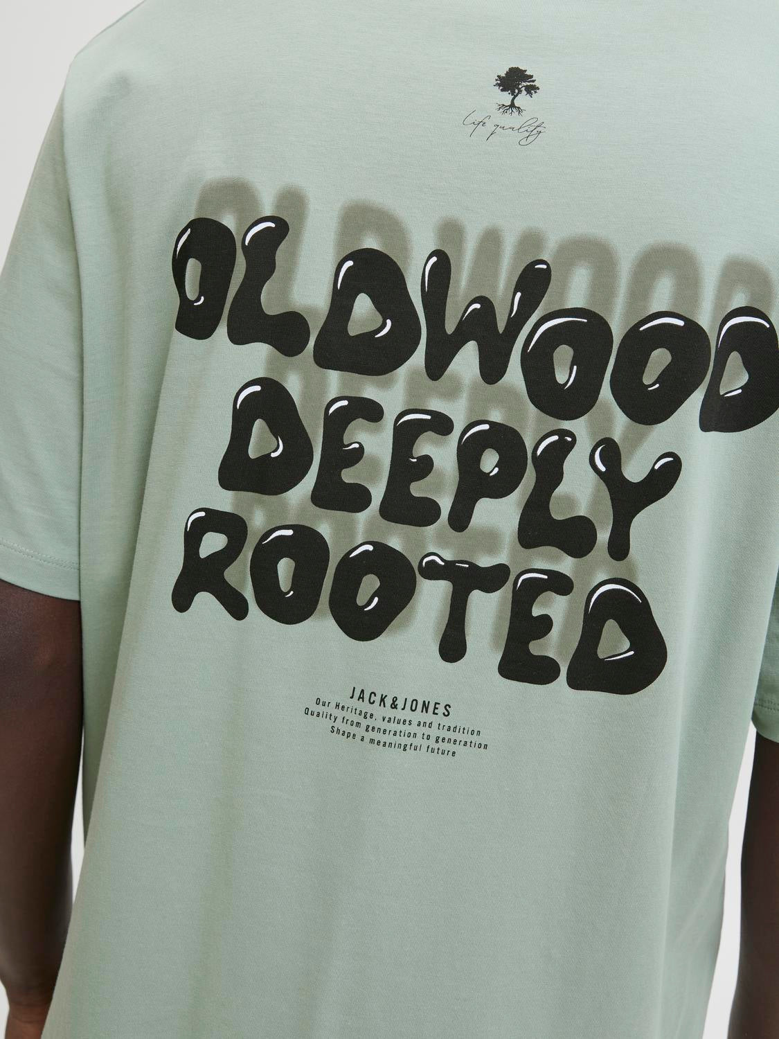 Remera Wobly relaxed - Iceberg Green