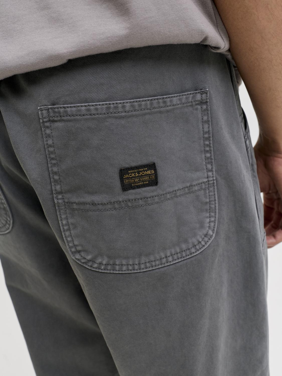 Pantalón Alex painter baggy - Iron Gate