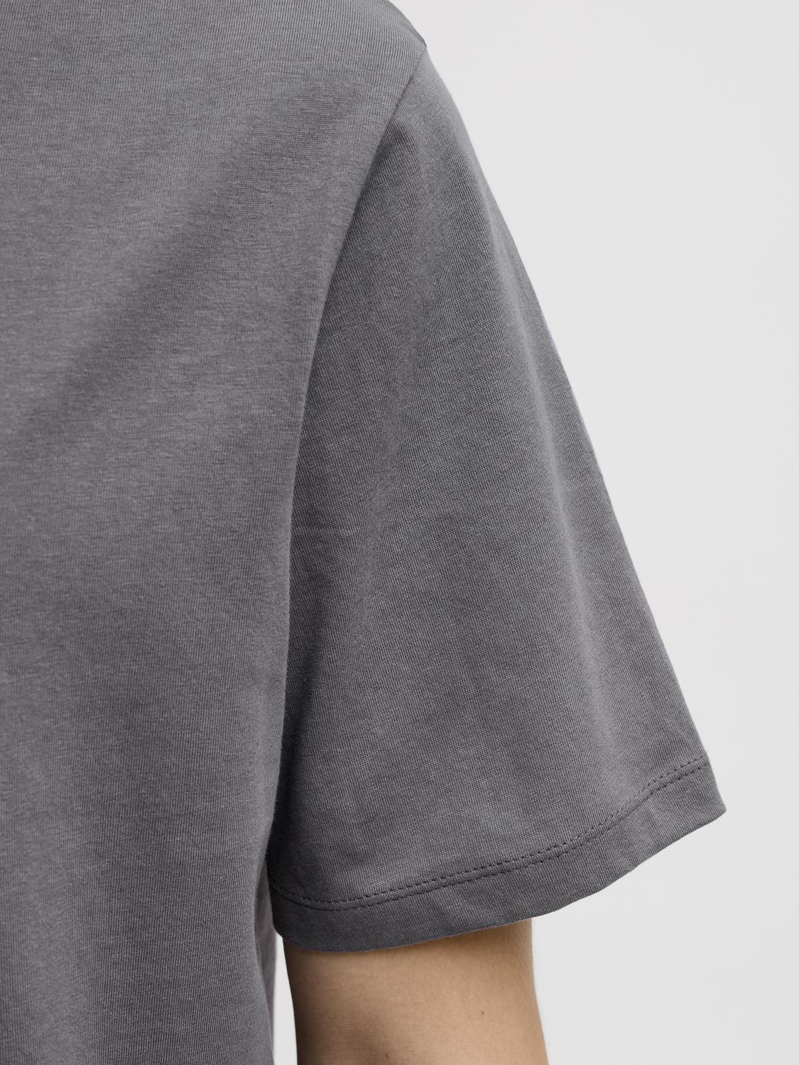 Remera Reblarry - Castlerock