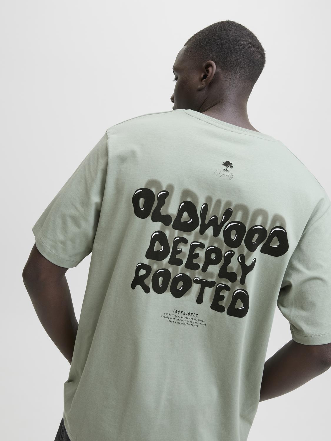 Remera Wobly relaxed - Iceberg Green