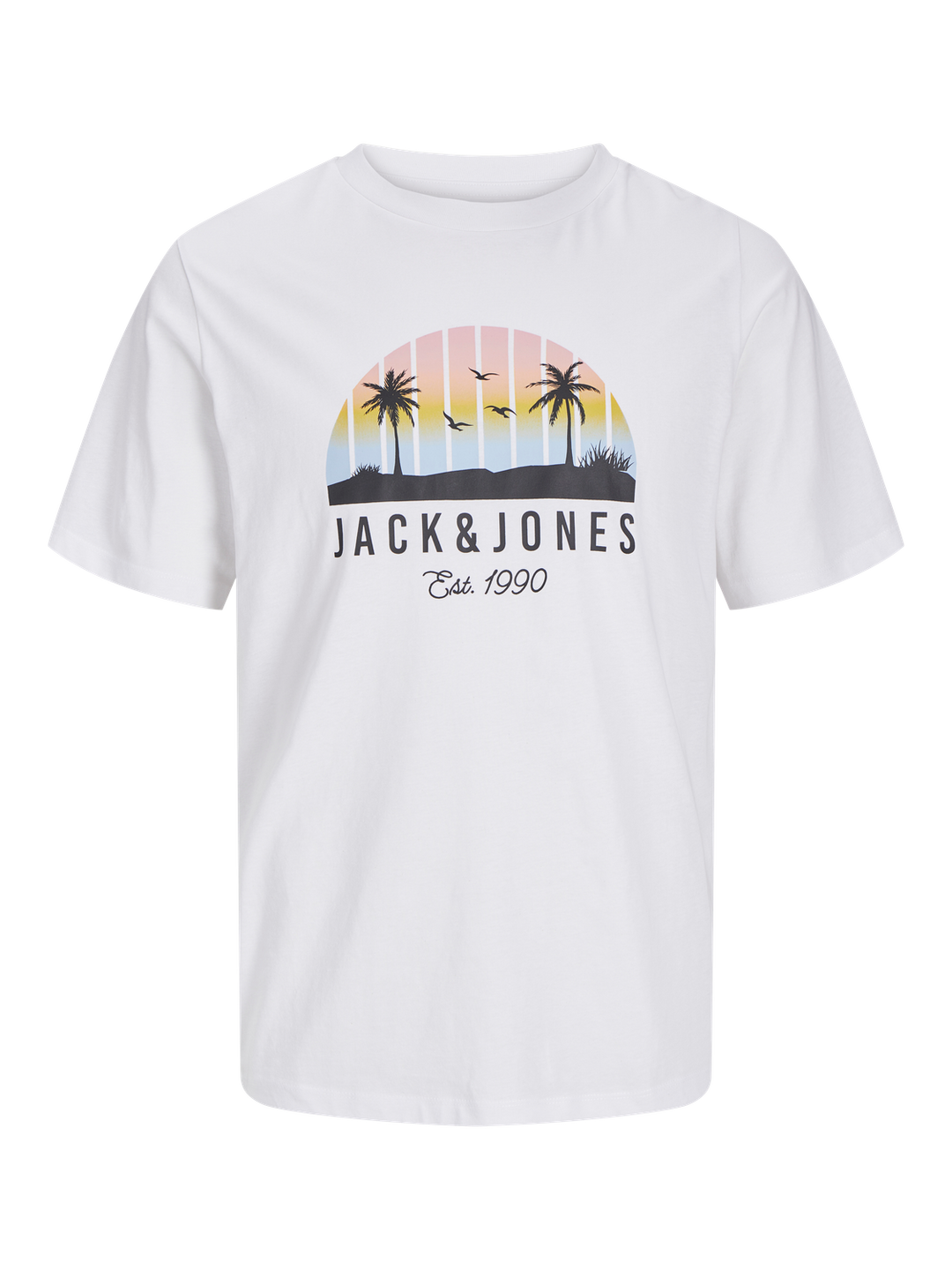 Remera Palm
