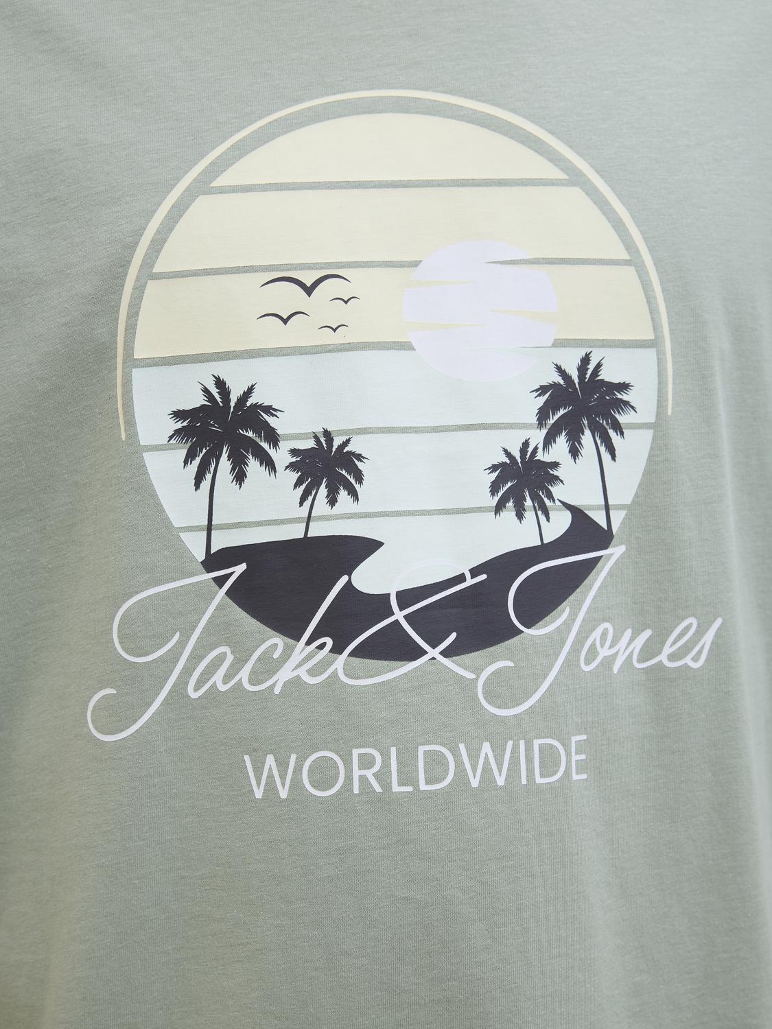 Remera Palm - Iceberg Green