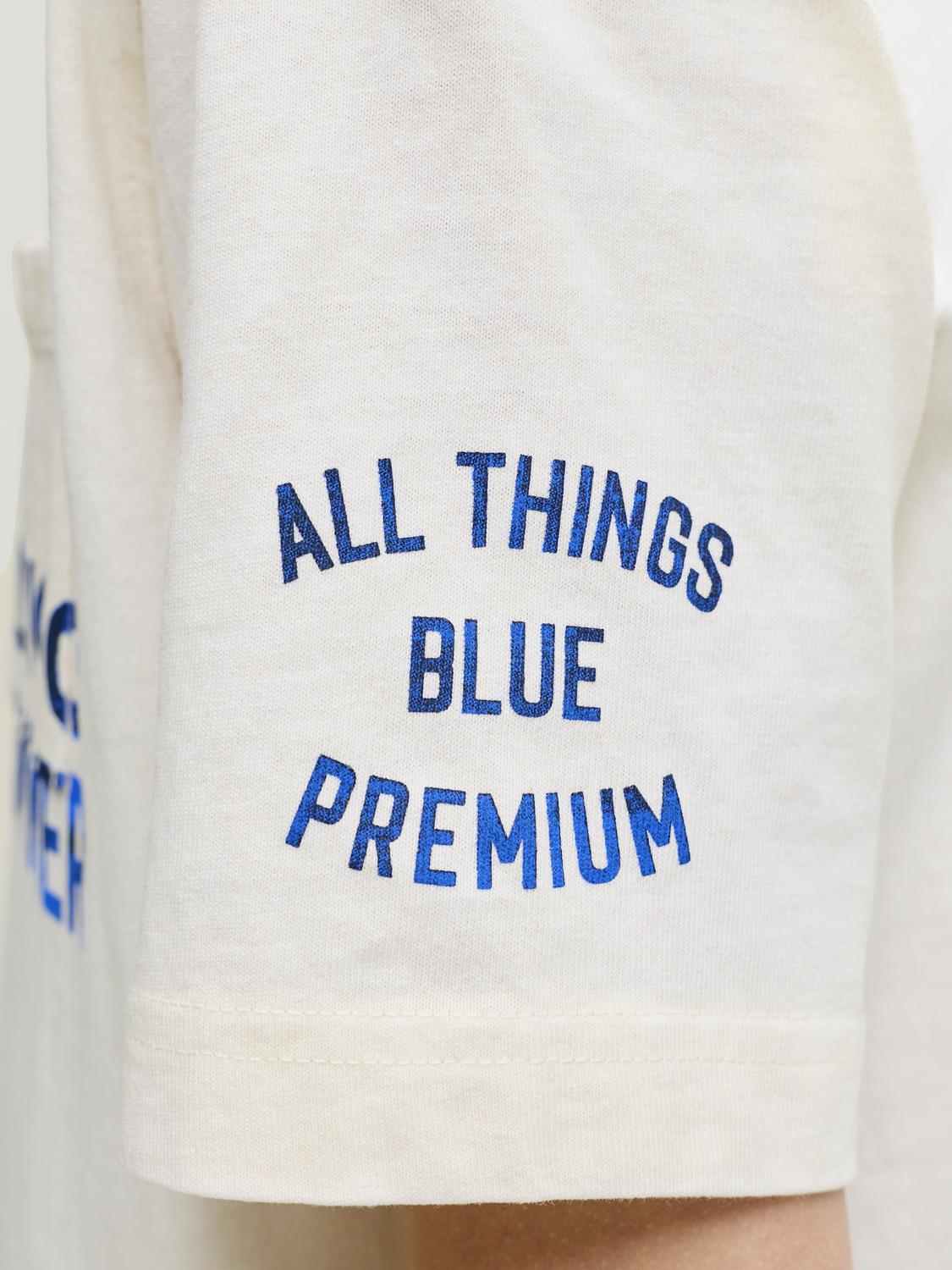 Remera Jackson relaxed - Sea Pearl