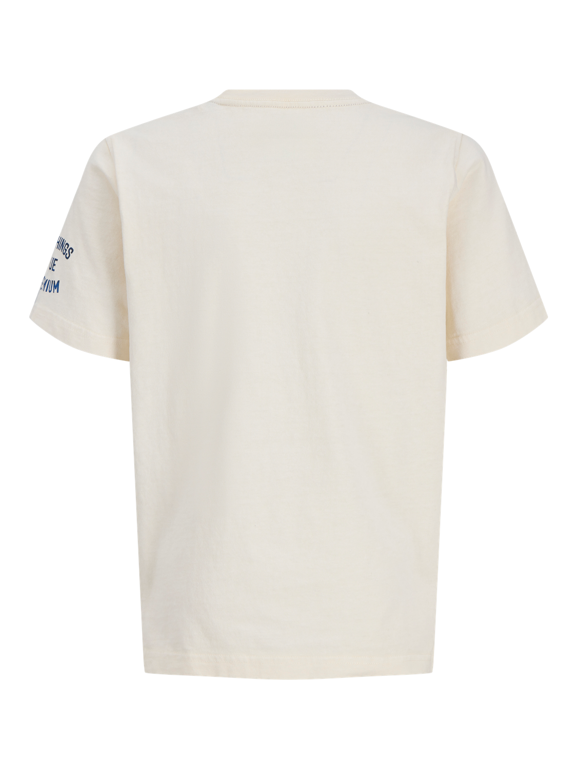 Remera Jackson relaxed - Sea Pearl