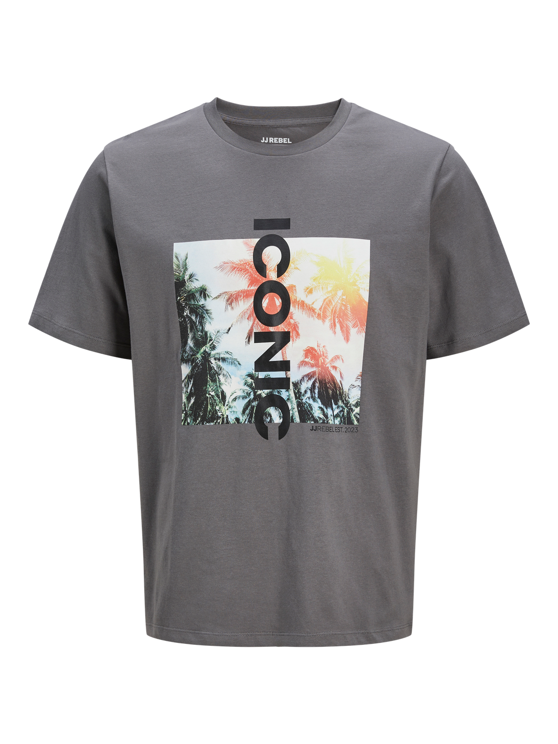 Remera Reblarry - Castlerock