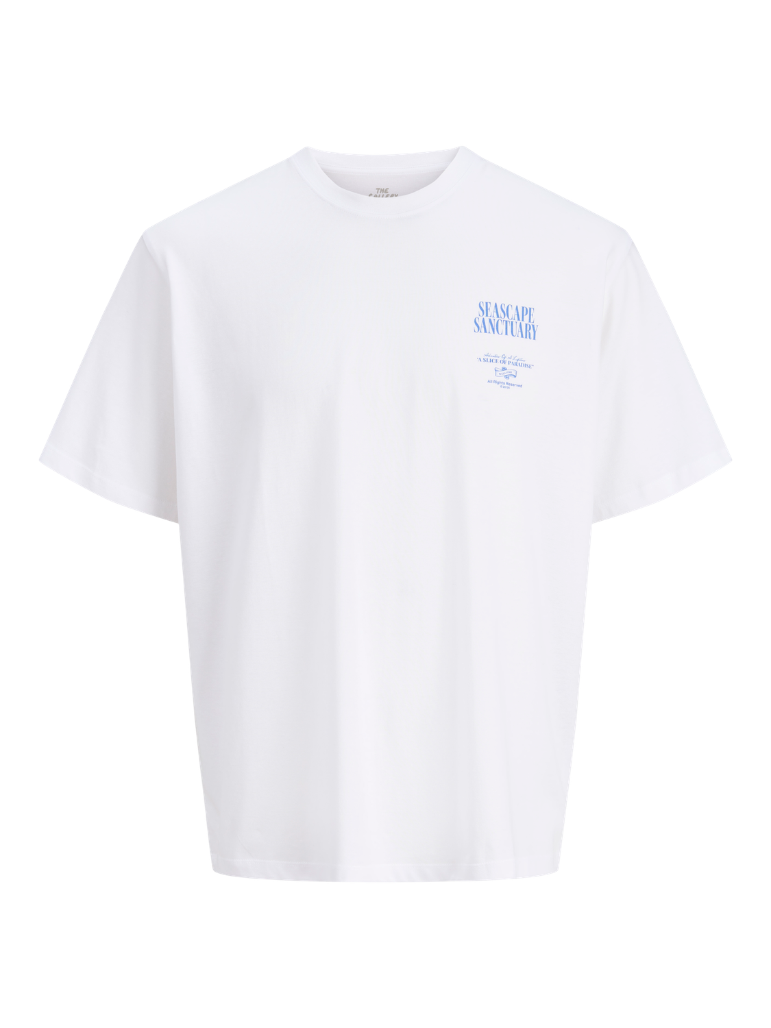 Remera Photo - Bright White (Island)