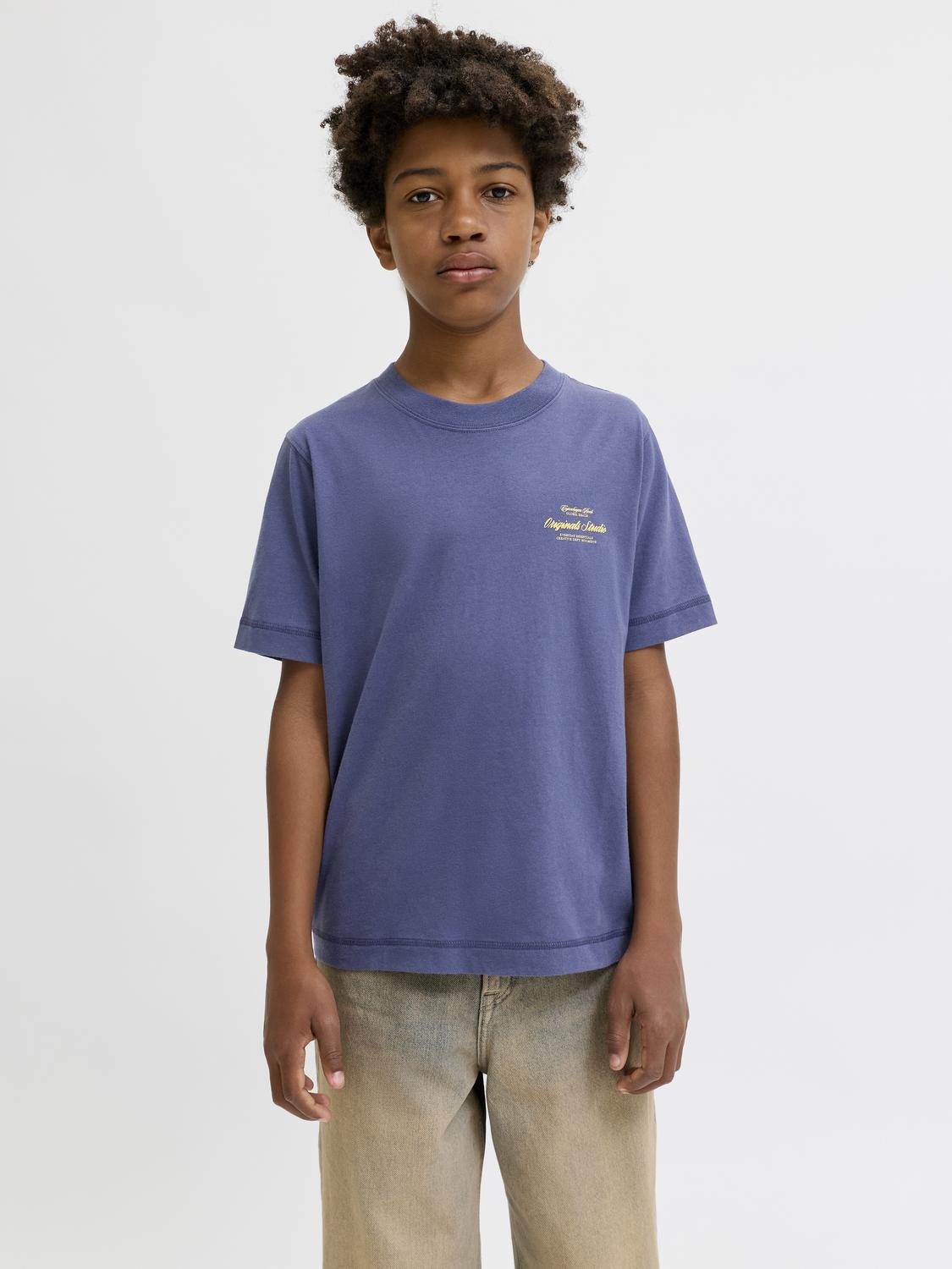 Remera Norrebro estampada